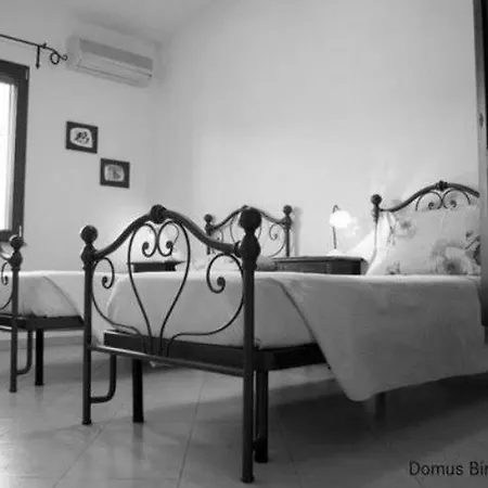 Domus Birdi *